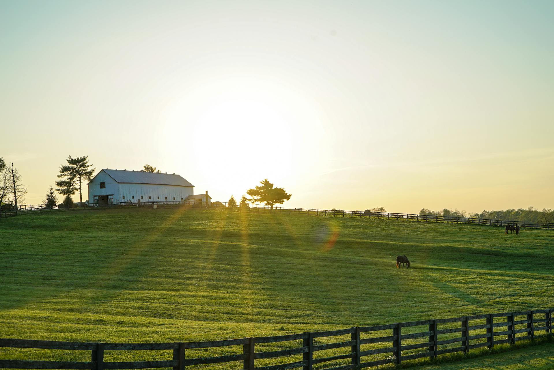 barn and pasture in pairs kentucky